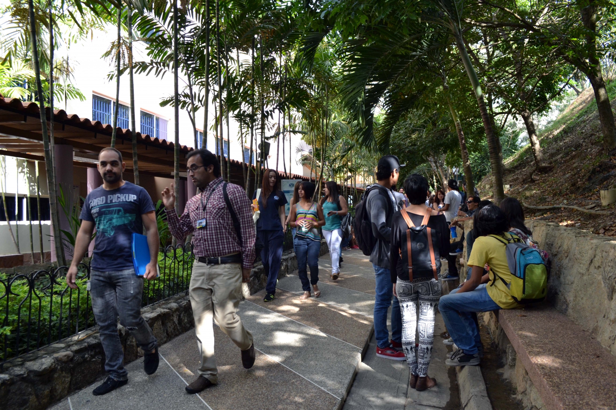 550a48d3bf786s1399726