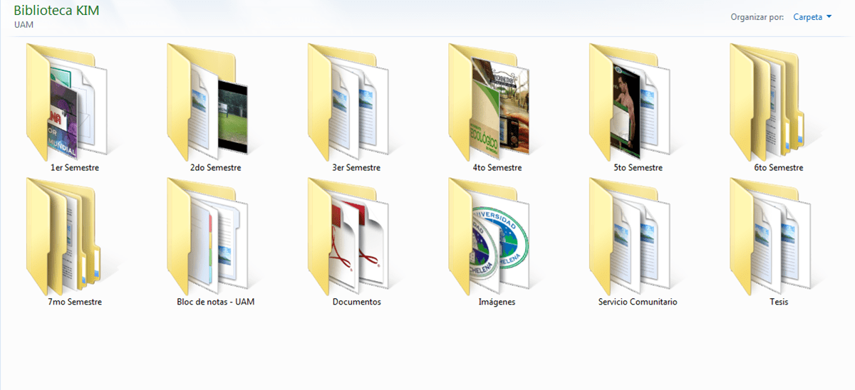 como organizar documentos en la pc