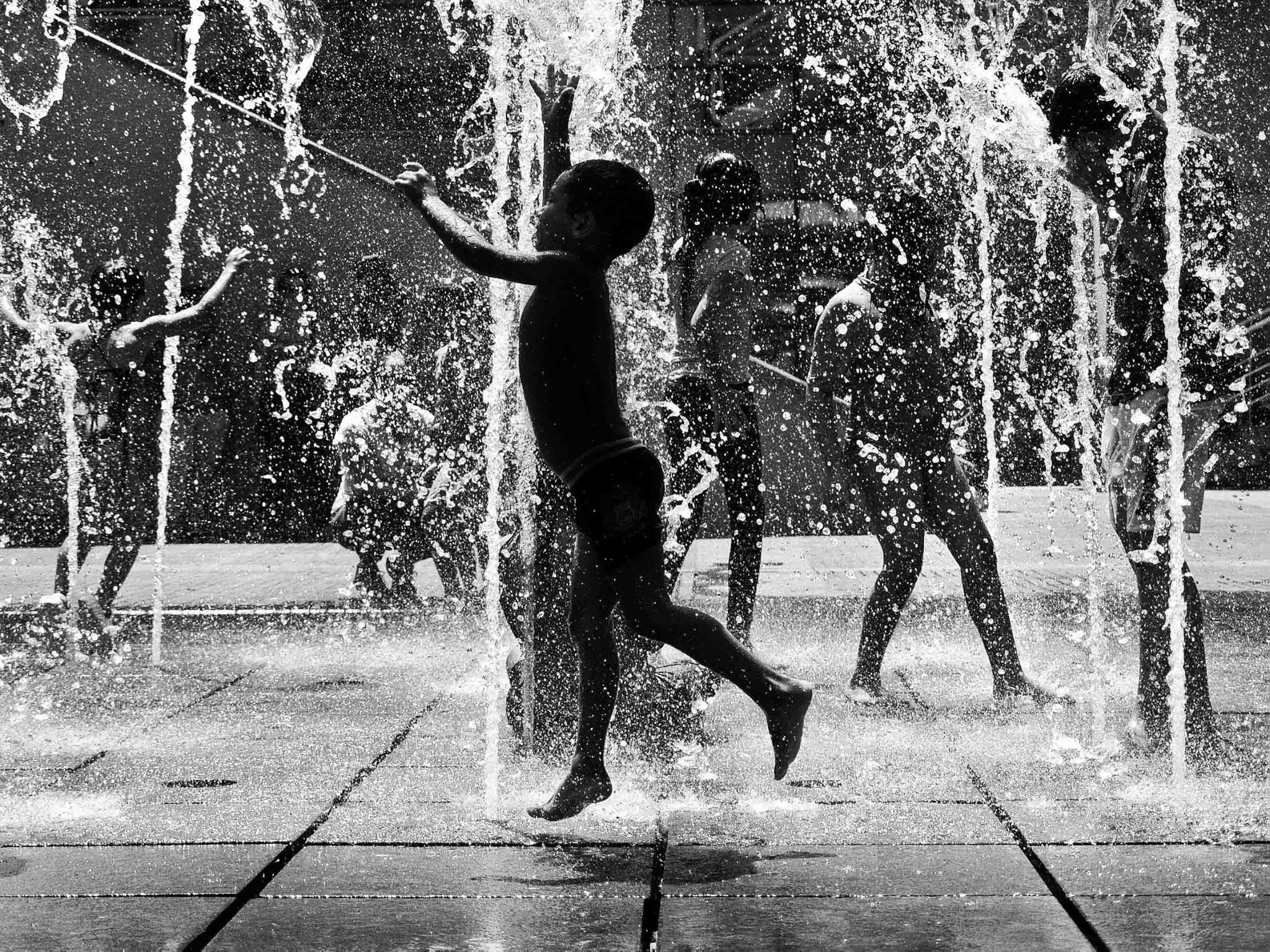 12916264_593133400840363_6824141492880079254_o