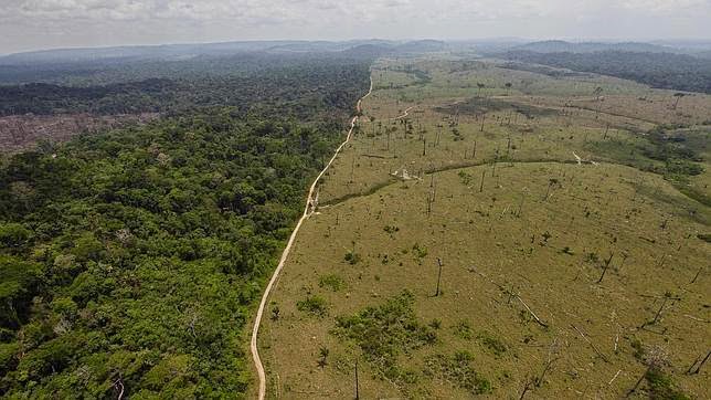 amazonaspor1-644x362